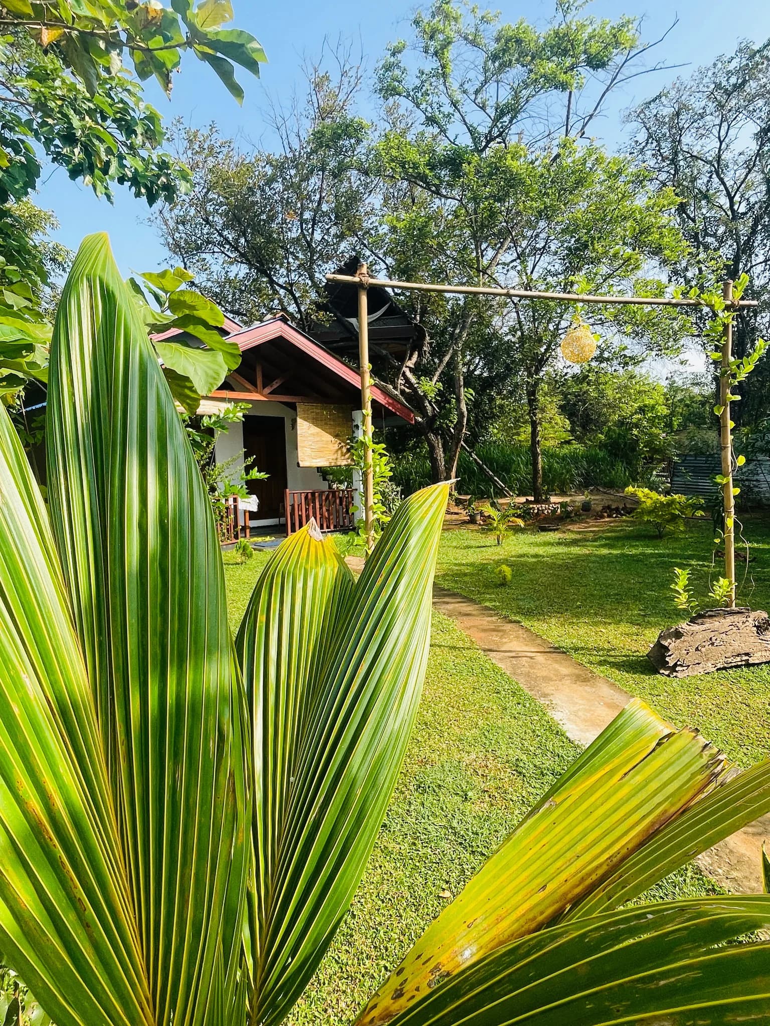Tropical Garden Pathway