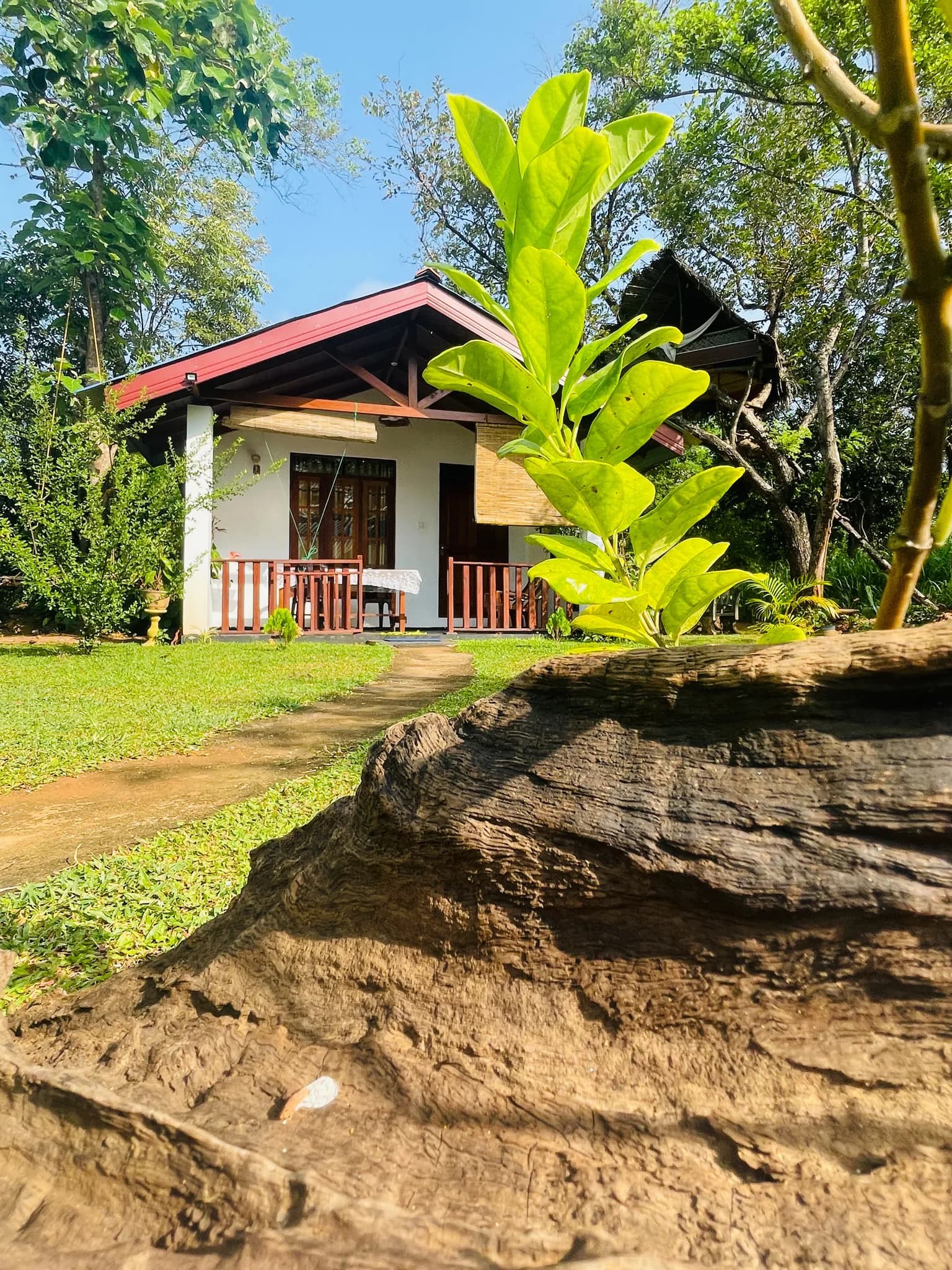 Porch & Nature Setting