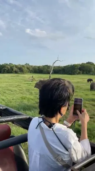 Open Grassland Safari Drive