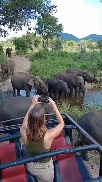 Stream Crossing with Our Guests