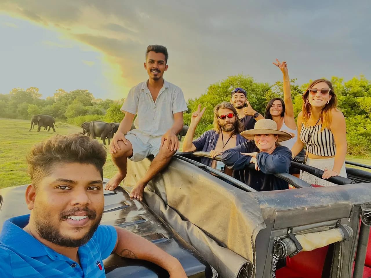 Jeep Safari Experience