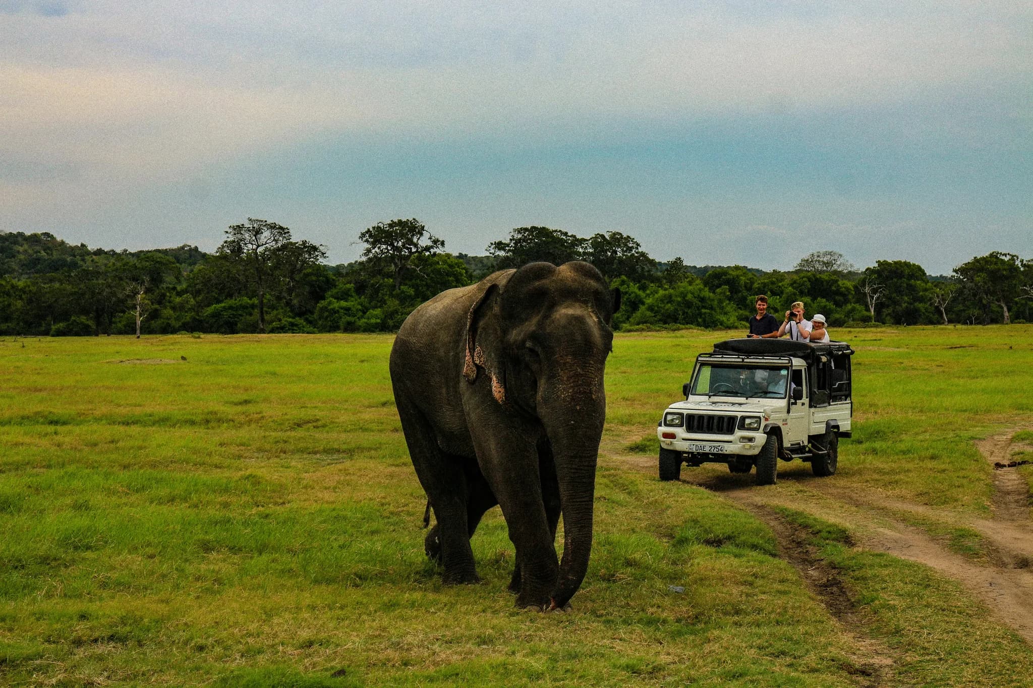 Jeep Safari Experience
