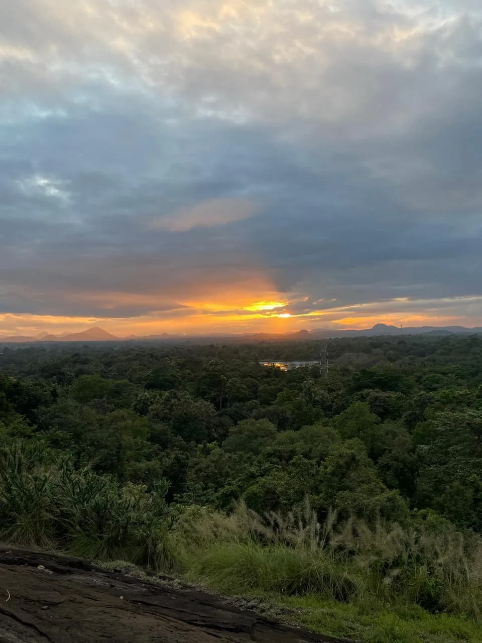 Sunrise & Nature Views