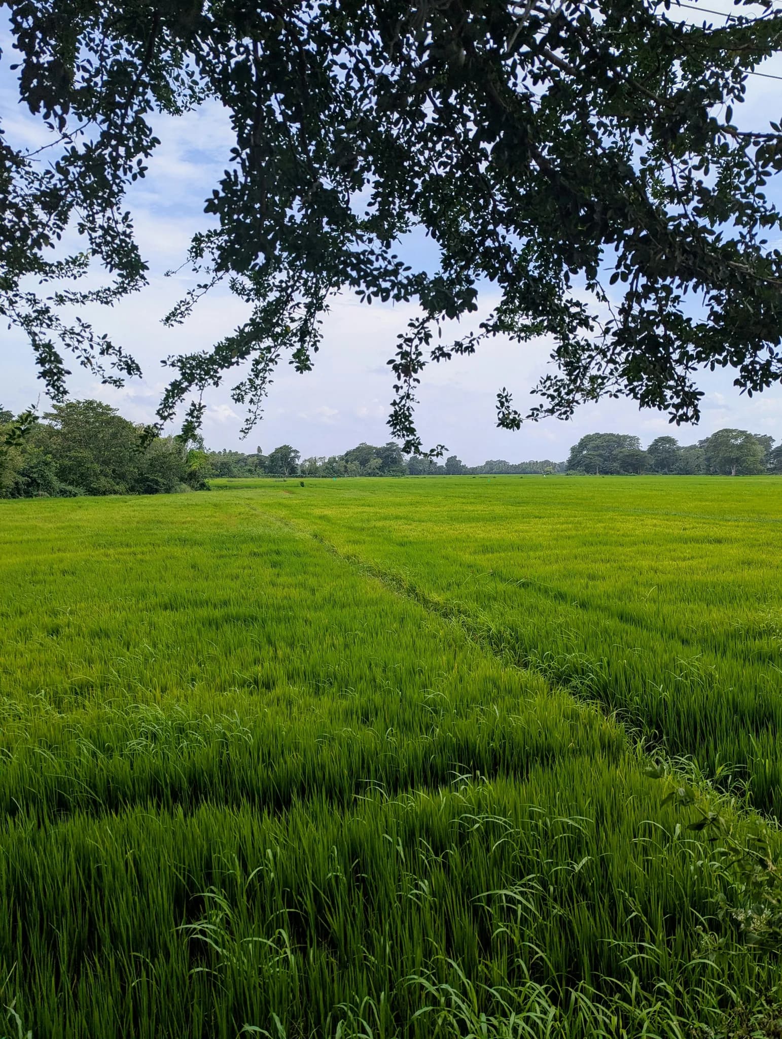 Village Tours