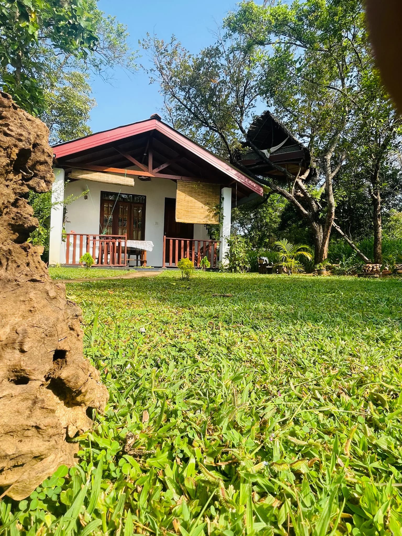 Eco-Chalet & Treehouse